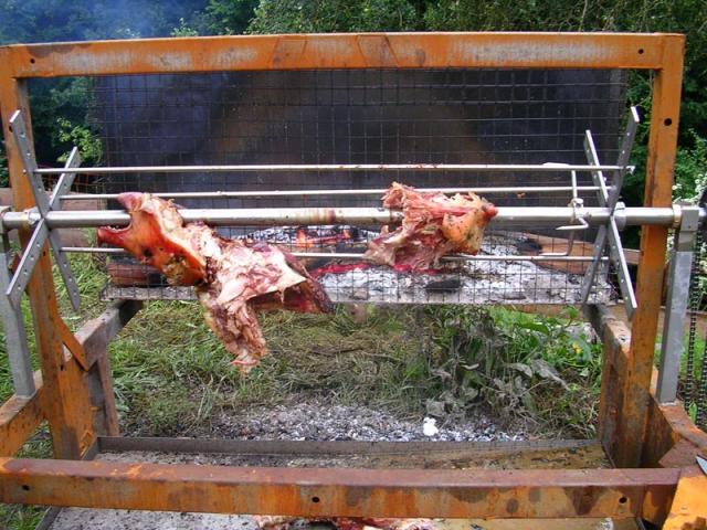 die sau